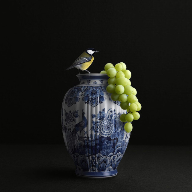 Hans Pieterse + Hungry Bird
